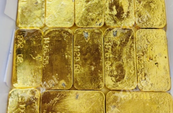 goldcancan.jpg goldcancan.jpg