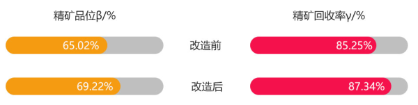 钨矿点点真人